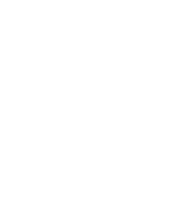 Bark